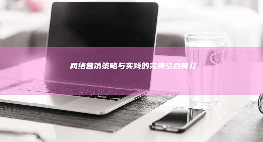 网络营销：策略与实践的完美结合简介